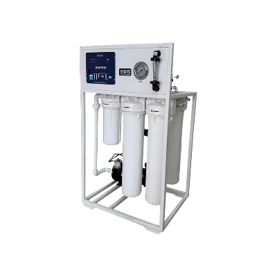 ORG 100 LPH RO With 4021-Pro